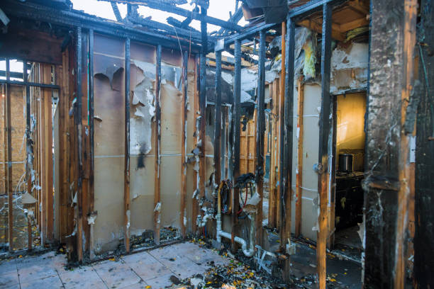 Professional Fire Damage Removal technician working in Homewood, SC